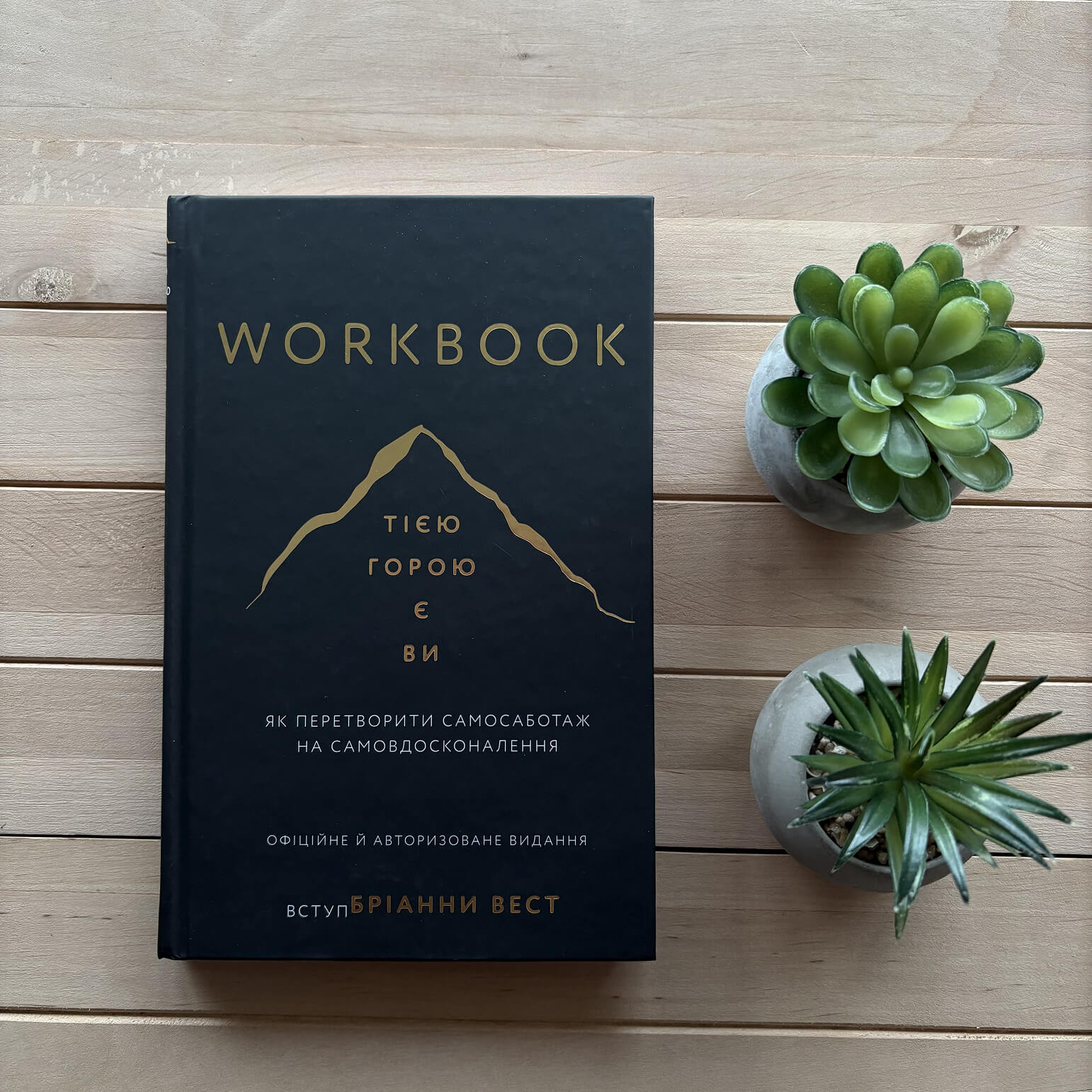 Workbook. Тією горою є ви. Як перетворити самосаботаж на самовдосконалення